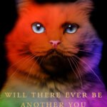 Will There Ever Be Another You  By Patricia Lockwood