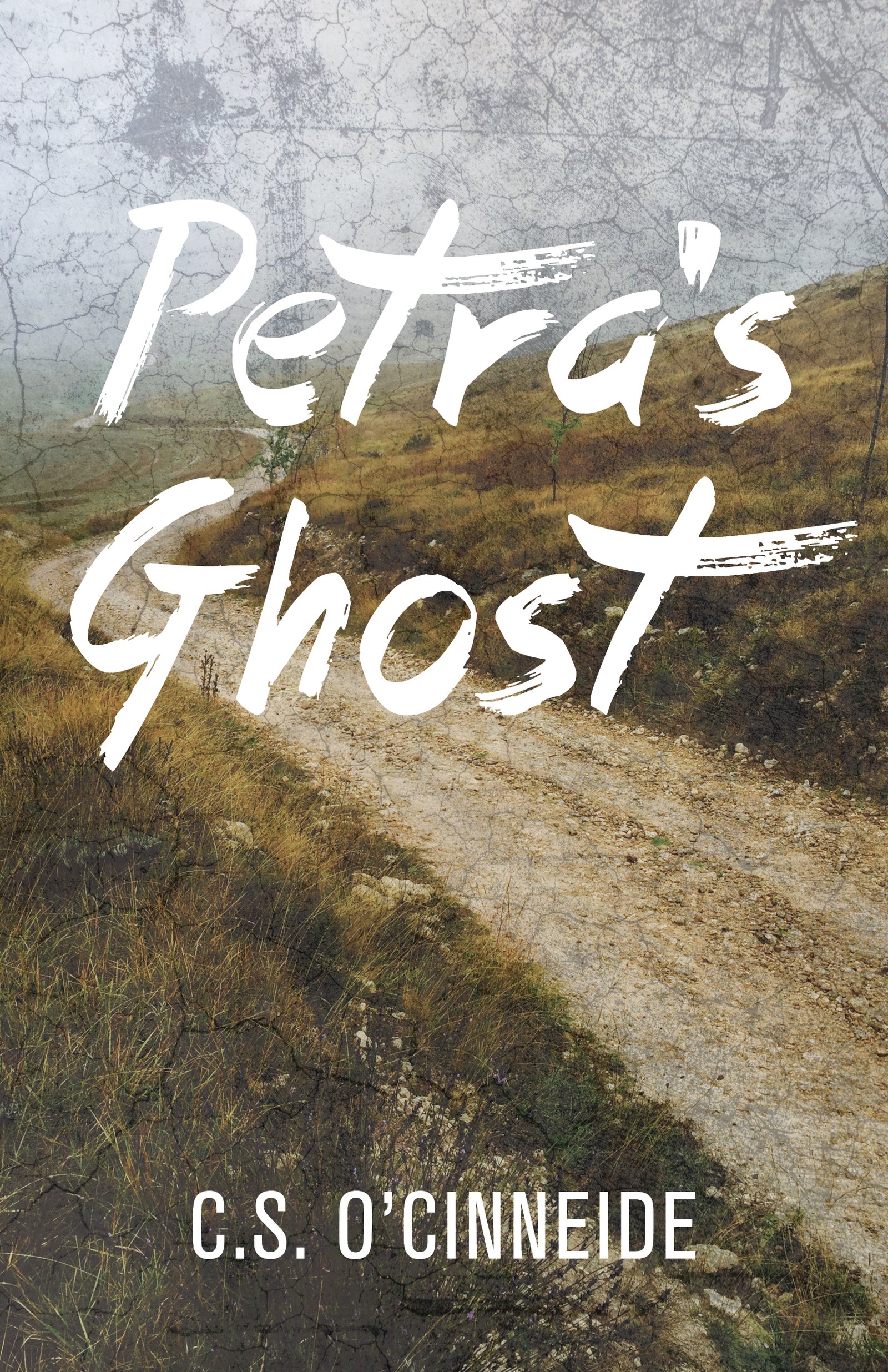 42186023 Petra's Ghost By C.S. O’Cinneide - Image 1