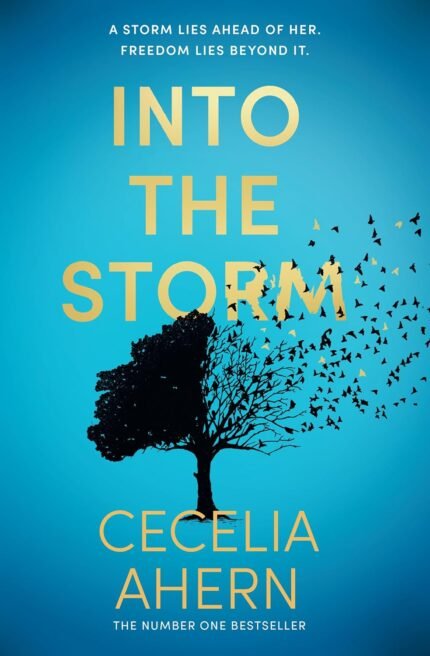 Into the Storm By Cecelia Ahern