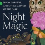Night Magic By Leigh Ann Henion