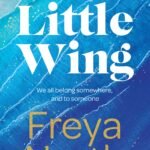 Little Wing  By Freya North