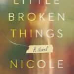 Little Broken Things  By Nicole Baart