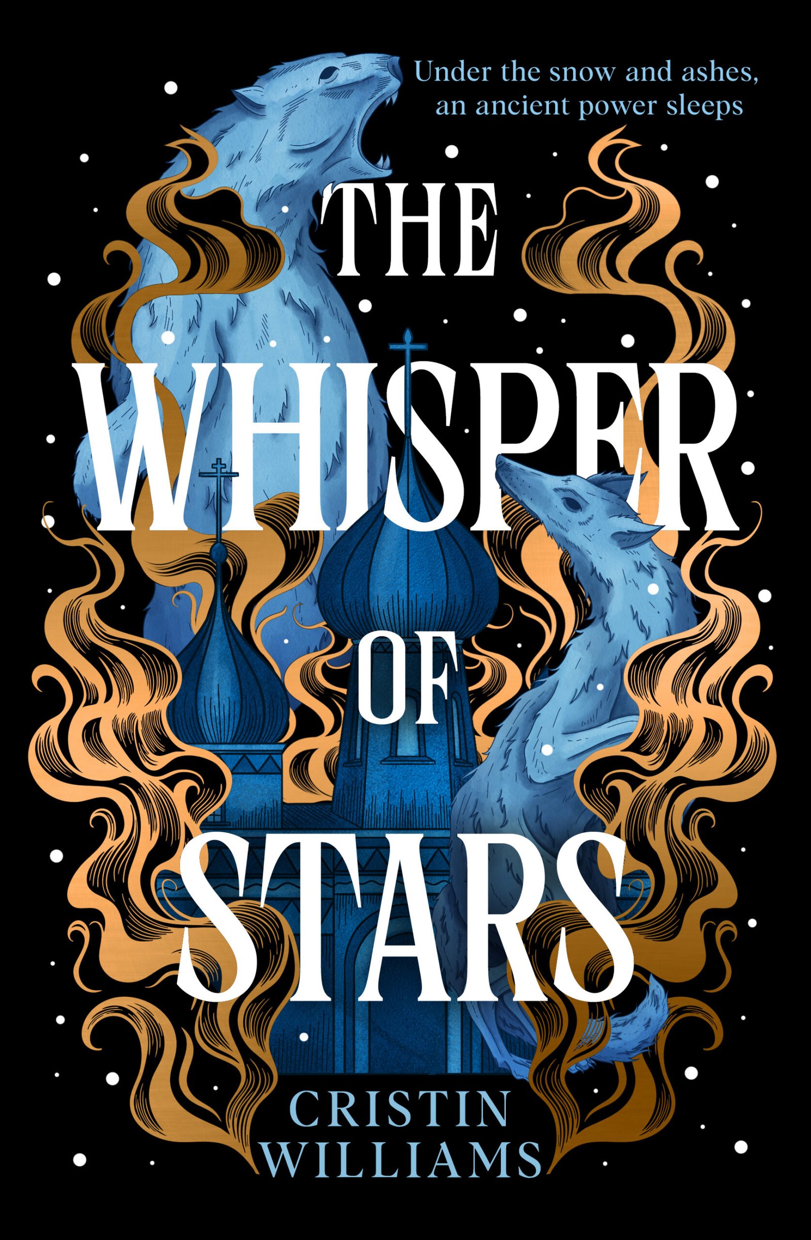 211426921 The Whisper of Stars By Cristin Williams - Image 1