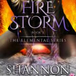 Firestorm By Shannon Mayer