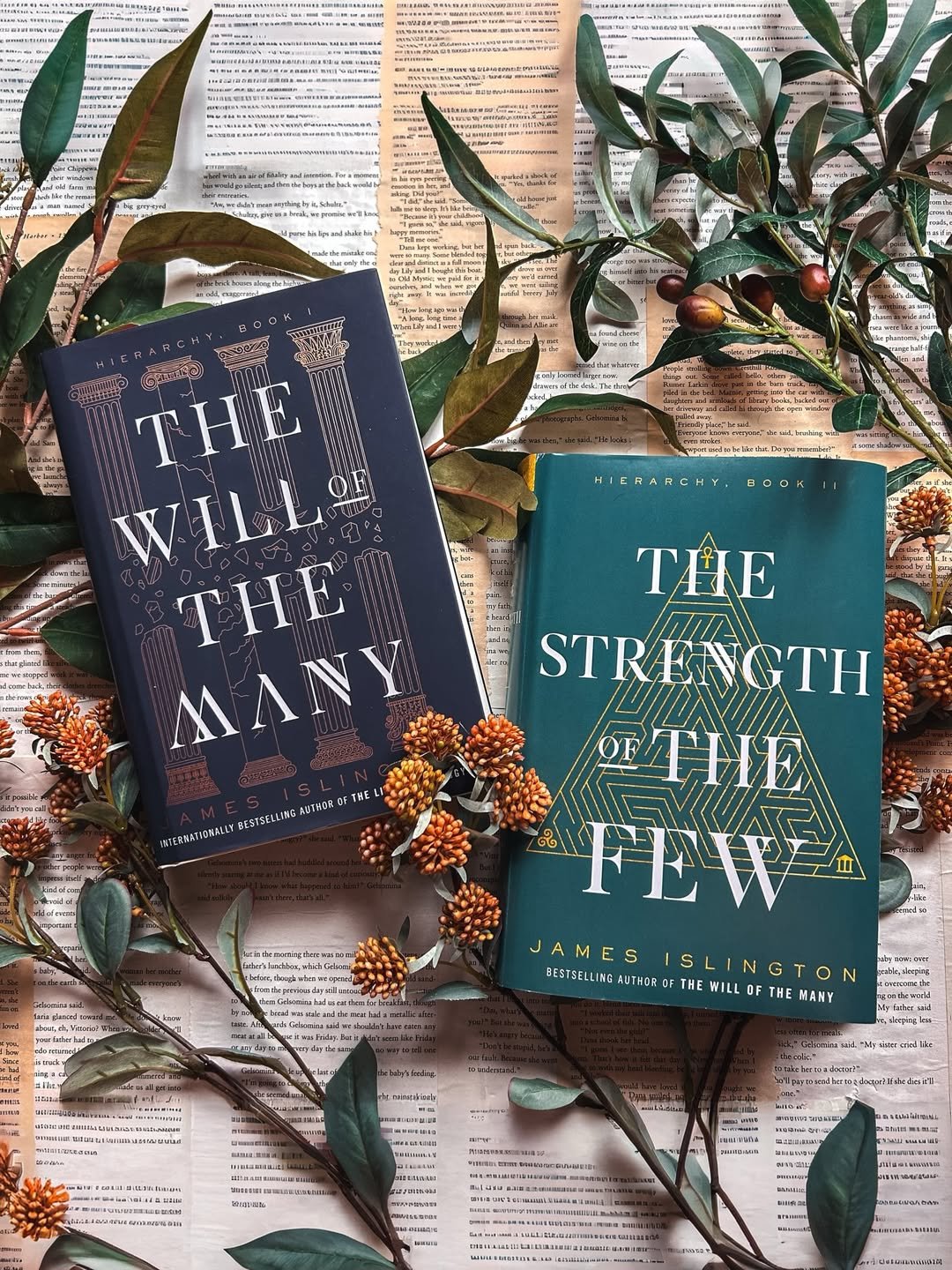 What was your favorite book from 2025 I wasn’t going to finish my book bracket from last year be Hierarchy Series by James Islington - Image 1