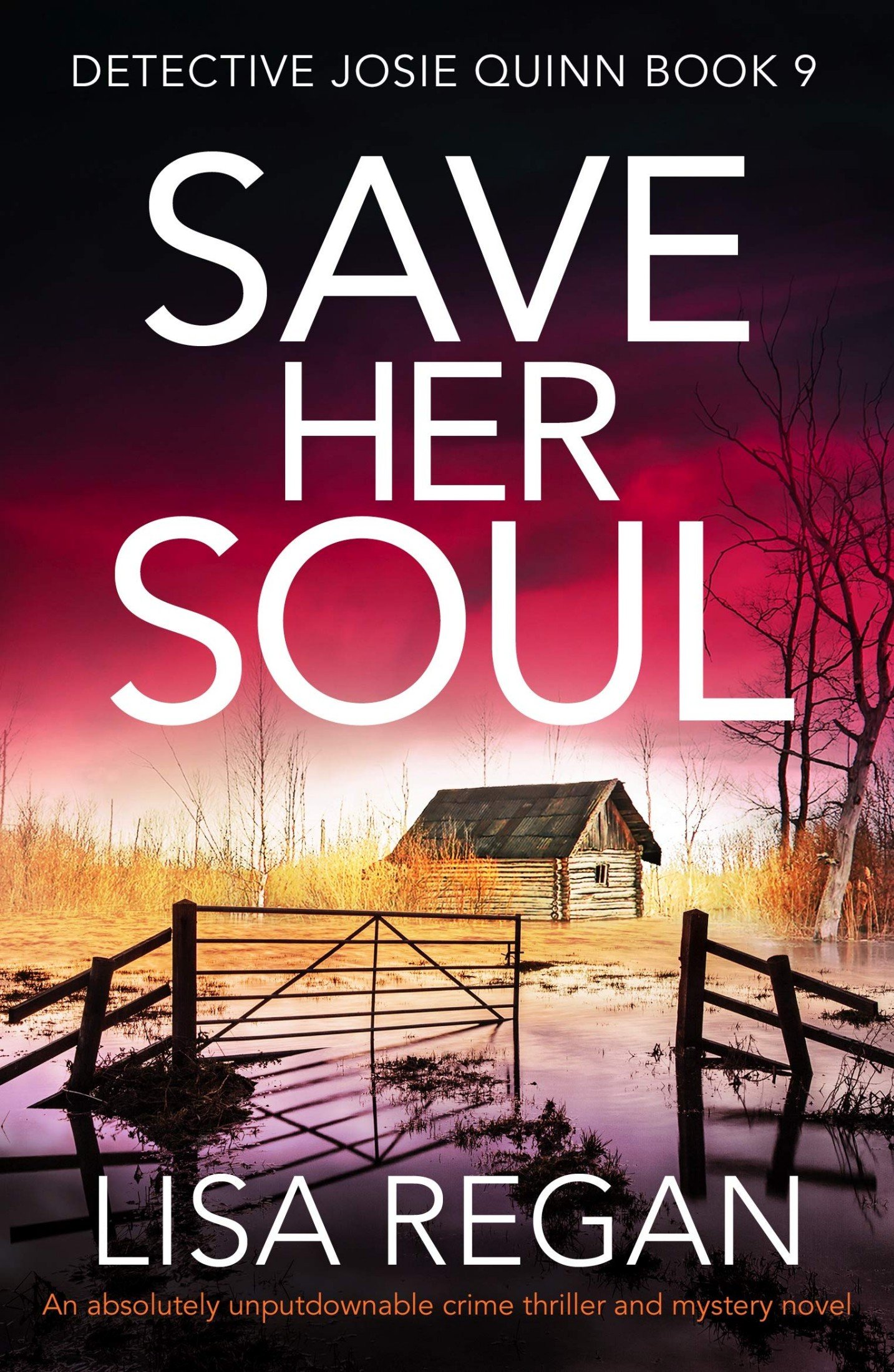 53563418 Save Her Soul By Lisa Regan - Image 1