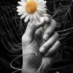Echoes By Dylan Page