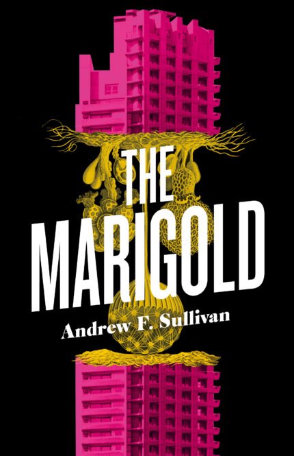 The Marigold By Andrew F. Sullivan