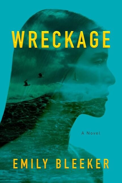 Wreckage By Emily Bleeker