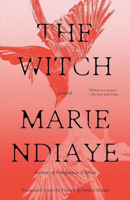 The Witch By Marie NDiaye