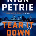 Tear It Down By Nick Petrie