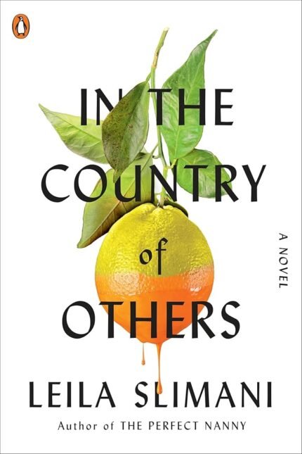 In the Country of Others By Leïla Slimani