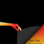 Are You Enjoying? By Mira Sethi