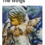 The Wings By Yi Sang ,  I-AHN JEONG