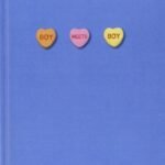 Boy Meets Boy  By David Levithan