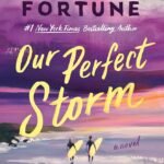 Our Perfect Storm  By Carley Fortune