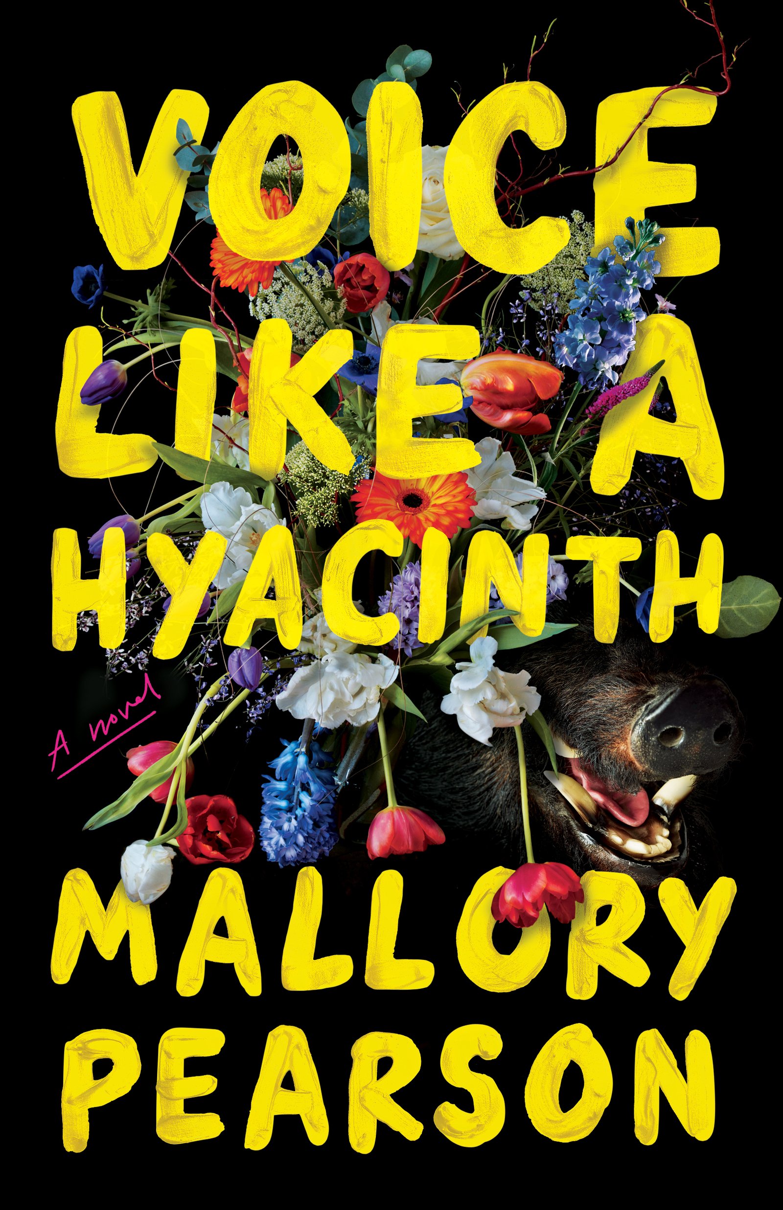 211102322 Voice Like a Hyacinth By Mallory Pearson - Image 1