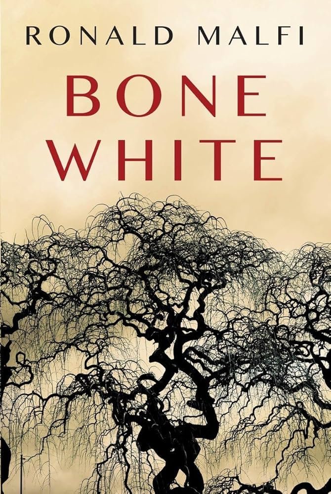 71a6fDmoUeL._AC_UF1000,1000_QL80_ Bone White by Ronald Malfi - Image 1