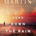 Send Down the Rain By Charles Martin