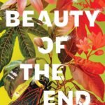 The Beauty of the End By Lauren Stienstra