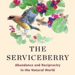 The Serviceberry By Robin Wall Kimmerer