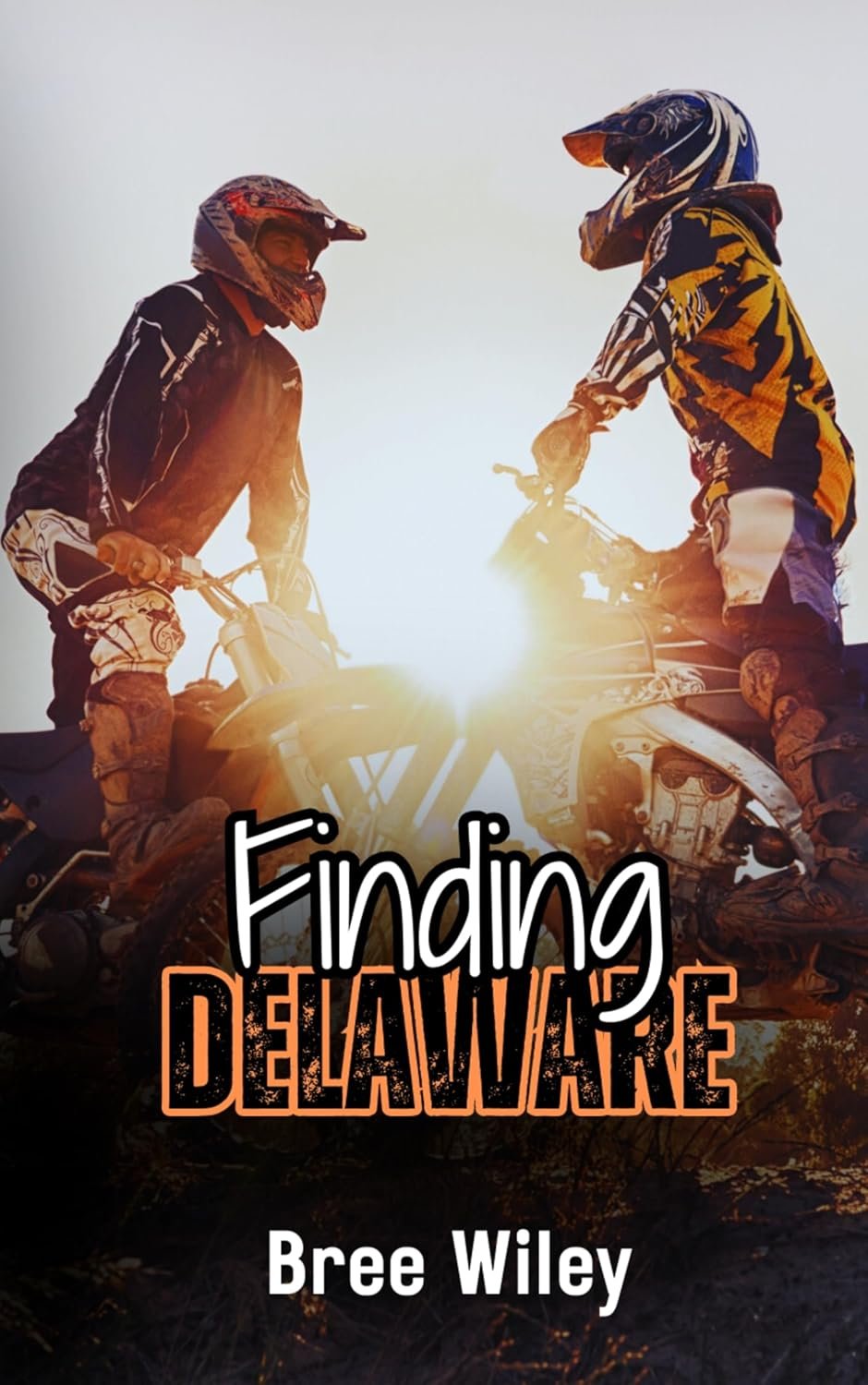 217987466 Finding Delaware By Bree Wiley - Image 1