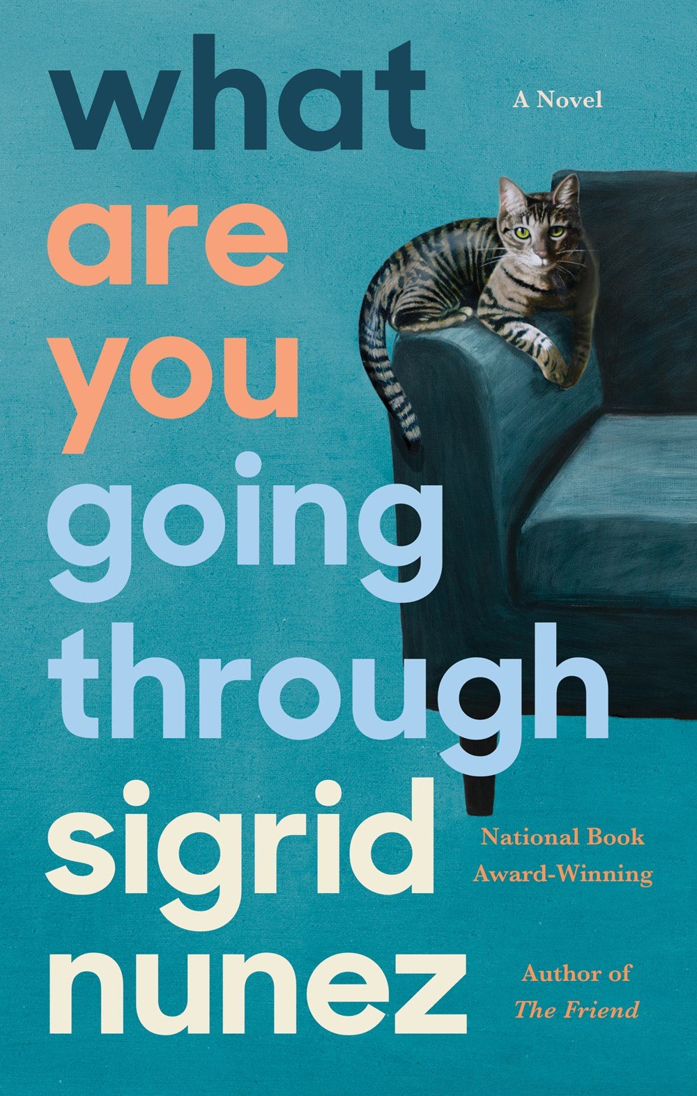 51152434 What Are You Going Through By Sigrid Nunez - Image 1