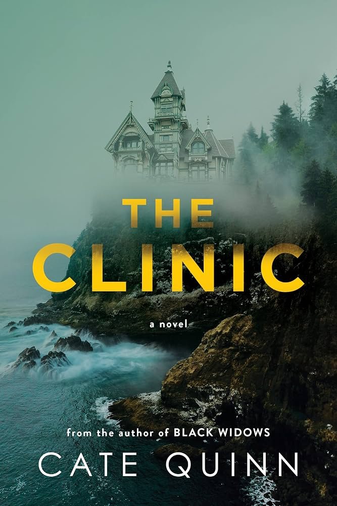 8122xMlGnfL._AC_UF1000,1000_QL80_ The Clinic By Cate Quinn - Image 1