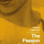 The Passion According to G.H by Clarice Lispector