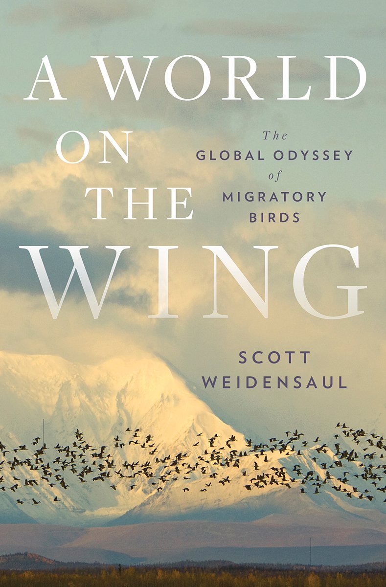 53642062 A World on the Wing By Scott Weidensaul - Image 1