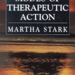 Modes of Therapeutic Action By Martha Stark