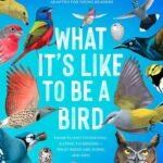 What It's Like to Be a Bird by David Allen Sibley