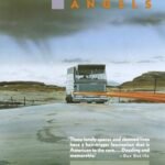 Angels  by Denis Johnson