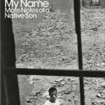 Nobody Knows My Name  By James Baldwin
